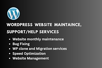 a website manager, website maintenance, website management