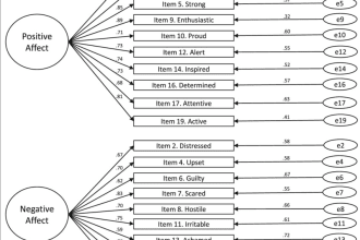 do confirmatory factor analysis cfa in amos spss