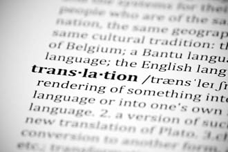 professionally translate your text from english to other language