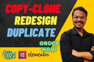 revamp, redesign or rebuild any wordpress website