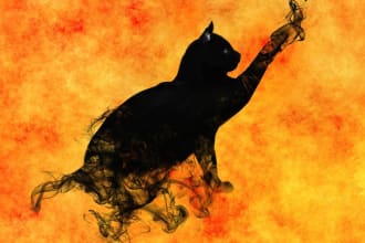 provide feline fortune tarot readings