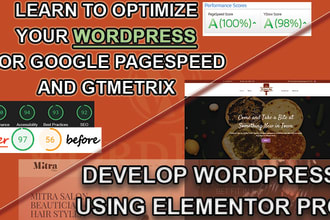 help tech wordpress optimization develop elementor website