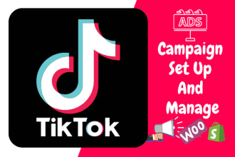 run and manage tiktok ads campaign, tik tok ads, tiktok advertising , promotion