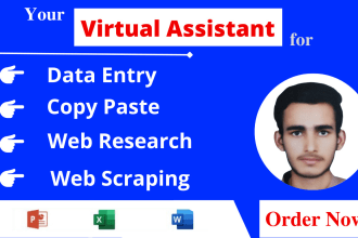 do fast data entry, web research, copy paste and typing virtual assistant