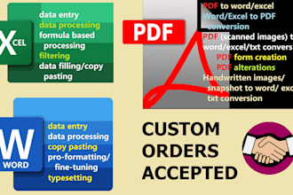 do data entry word excel PDF conversion