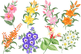 paint digital  watercolor illustration of flowers