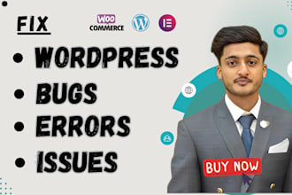 fix wordpress issues, wordpress site, theme, error in 1 hour