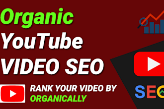 do best youtube video seo to improve your video rank