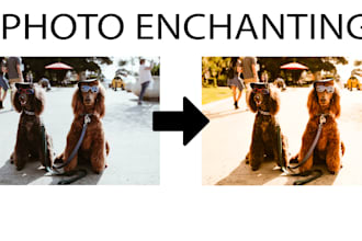 do any any type of photo manipulation and photo enchanting