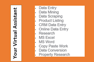 do data entry, copy paste job