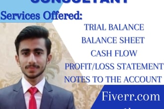 do profit and loss balance sheet financials, accounts and bookkeeping