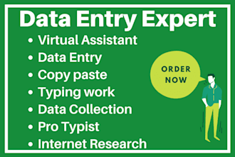 be your virtual assistant for data entry, typing work, copy paste, web research