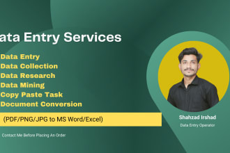 find email address, excel data entry, mining, scraping