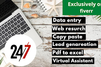 expert excel data entry, copy paste, and web research