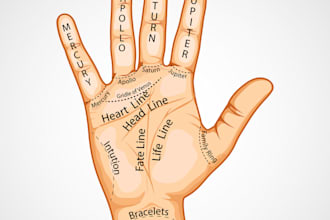 give you most accurate and perfect reading of  palm in 24 hour