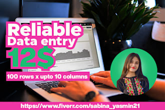 be your reliable data entry operator