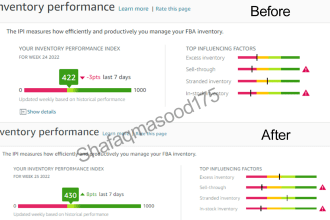 help in maintaining inventory performance index amazon