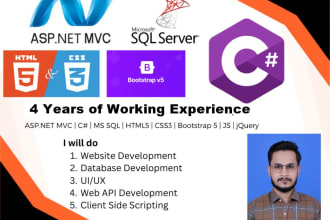 fix bugs in dot net, c sharp and angular or react app