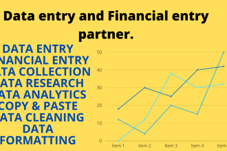 provide data entry, data research and copy paste services