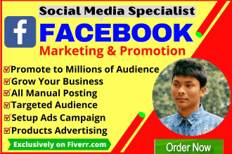 do organic facebook marketing and promotion for your business