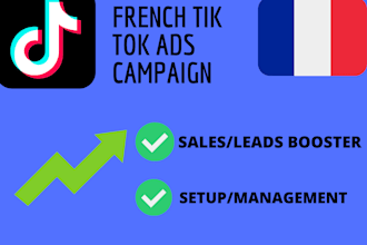 create the best  french tik tok ads campaign