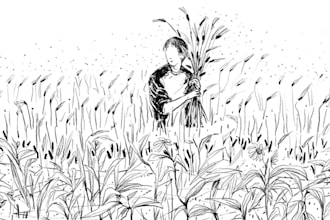 illustrate anything for you using line art