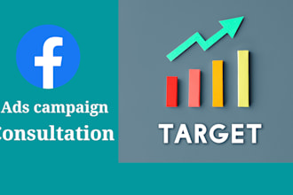 provide 1 on 1 facebook ads and instagram ads consultation