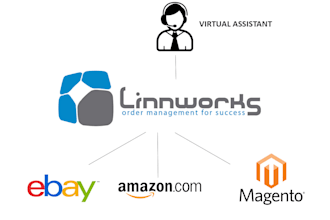 your virtual assistant managing, organizing and listing products on ebay amazon