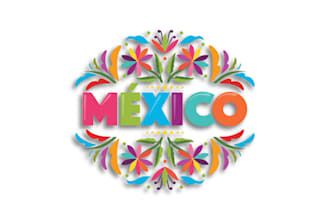 do design logo in mexican style
