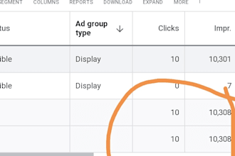 google ads and analytics campaign professionally