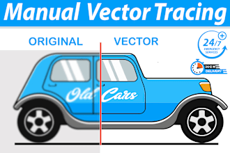 professional vector tracing  perfectly trace custom vector redraw 2 hour