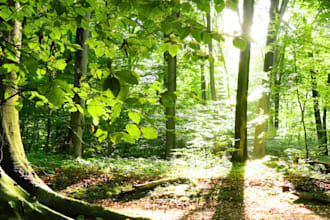 do pranic healing for you