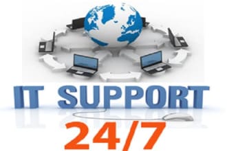 provide remote   IT support and window servers