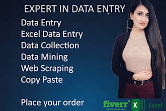 do excel and google sheet data entry,copy paste,pdf to excel