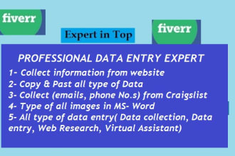 virtual assistant for data entry, admin support