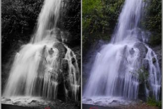 colorize black and white photos