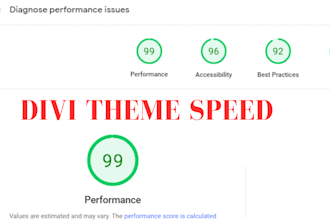 do divi theme and wordpress speed optimization