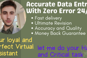 provide best data entry, transcription and writing services