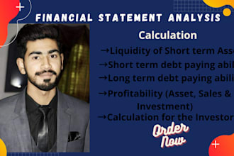 do all the calculations related to the financial statement analysis