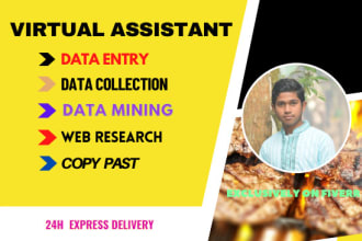 find word excel data entry,copy paste,mining,scraping and web research analysis