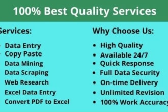 do fast excel data entry, copy paste, typing, virtual assistant, and data