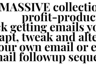 provide high converting email swipes