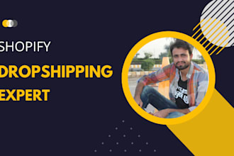 design and customize 7 figure shopify dropshipping store