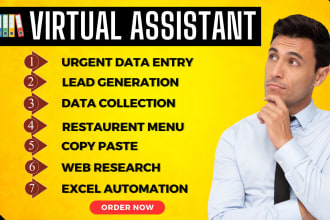 do urgent data entry, restaurant menu data entry, copy paste lead generation