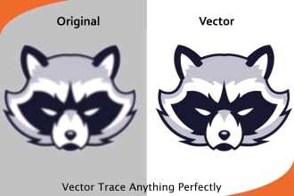 do any adobe illustrator work or edit with fast delivery and high quality