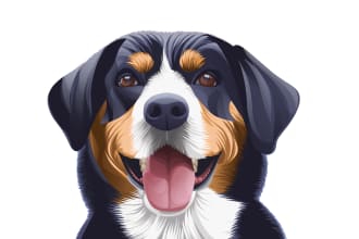 draw dog portrait cat portrait pet cartoon for you
