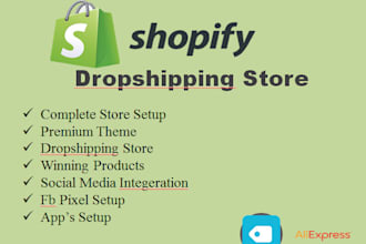 build shopify dropshipping store website
