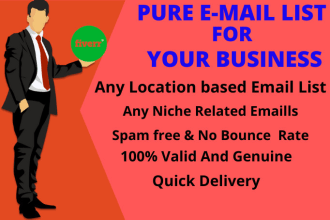 deliver pure verified email list for your niches