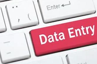 professional freelance data entry