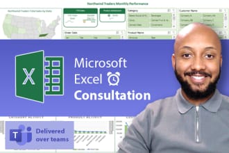 provide 1 hour microsoft excel consultation